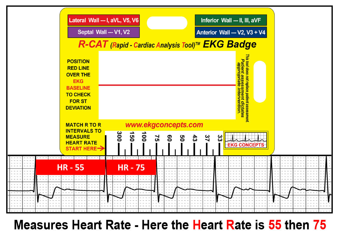 R-CAT EKG Badge - #3200
